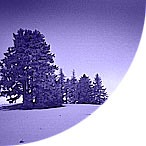 picture_n